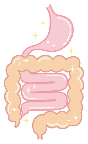 胃腸